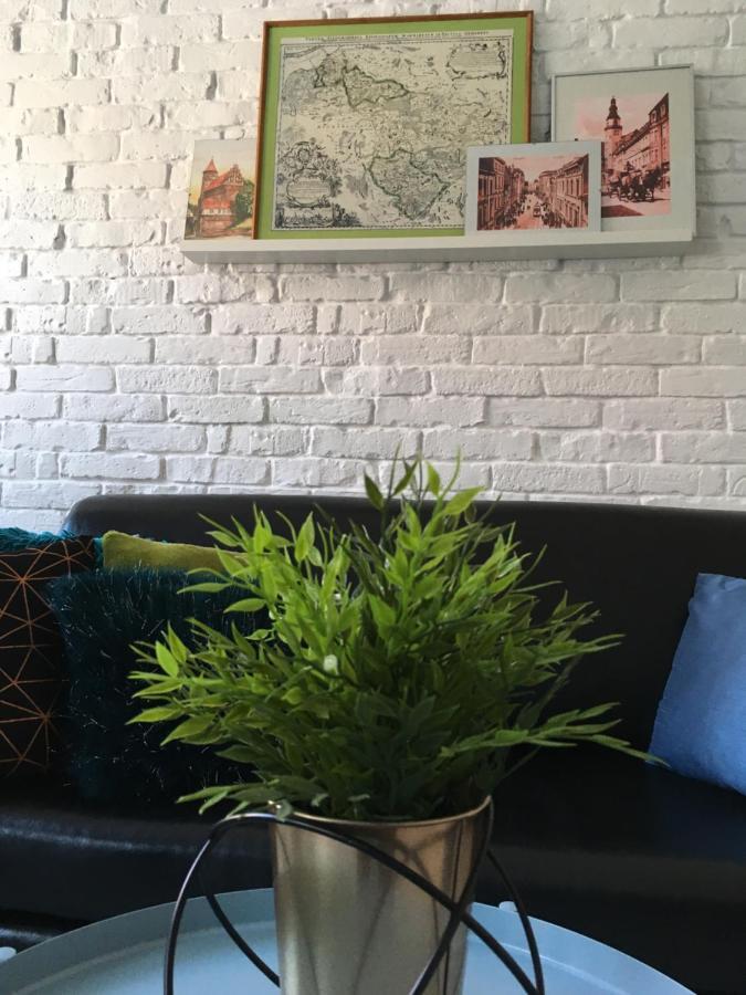 Apartament Zuzia ออลชติน ภายนอก รูปภาพ